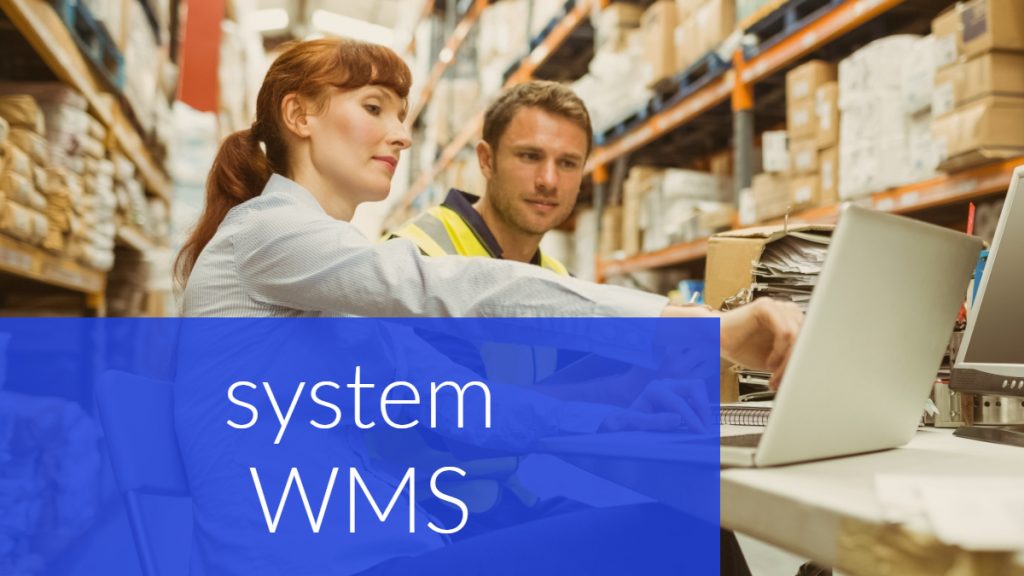 system wms